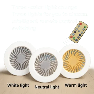 E27 Fan Light – 3 Speeds & Remote Control