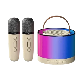 Bluetooth Karaoke Speaker – 2 Microphones & RGB Light