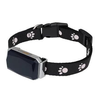 Pet GPS Tracker – SIM, Geofence & Location History