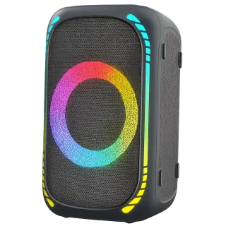 Bluetooth Party Speaker – IPX7 Rating