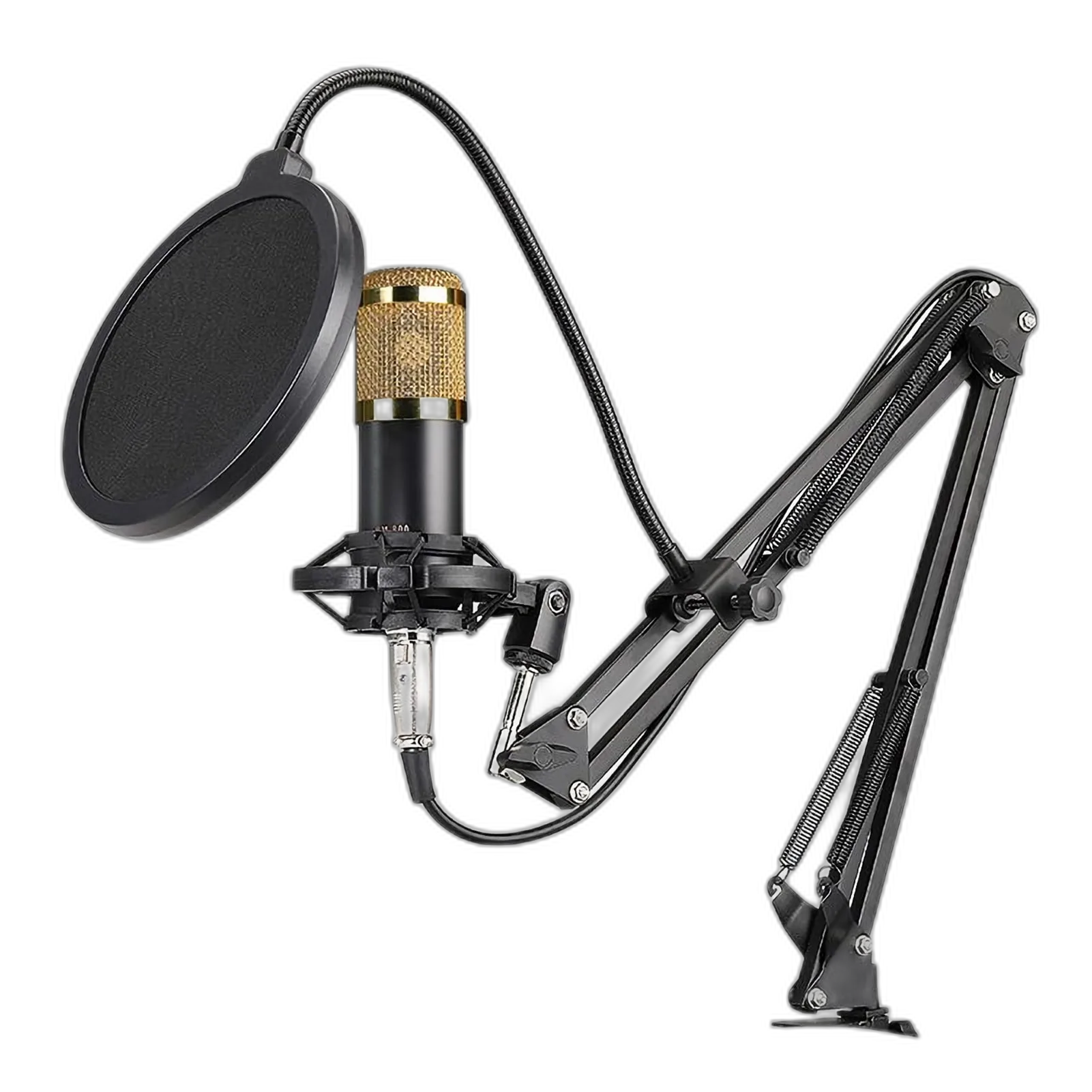 Professional USB Condenser Microphone with Shock Mount and Pop Filter – My Smart Life