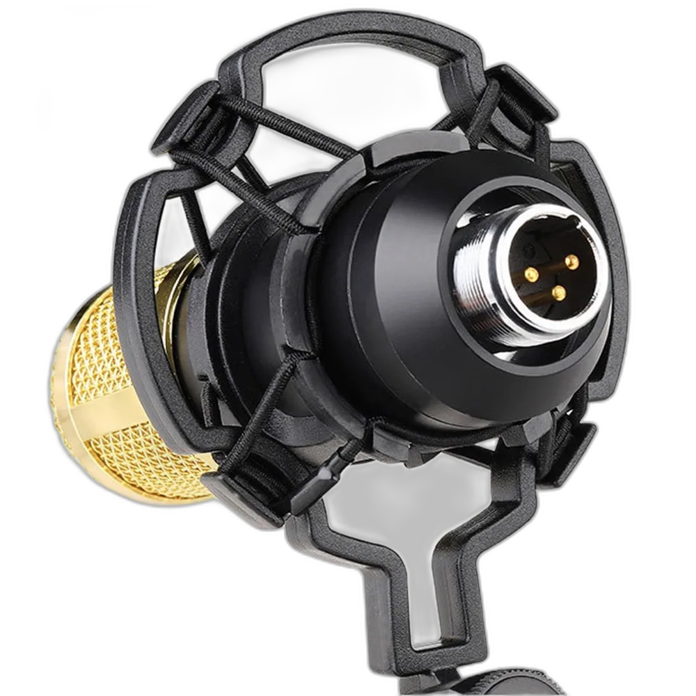 Professional USB Condenser Microphone with Shock Mount and Pop Filter – My Smart Life Main Slide 2
